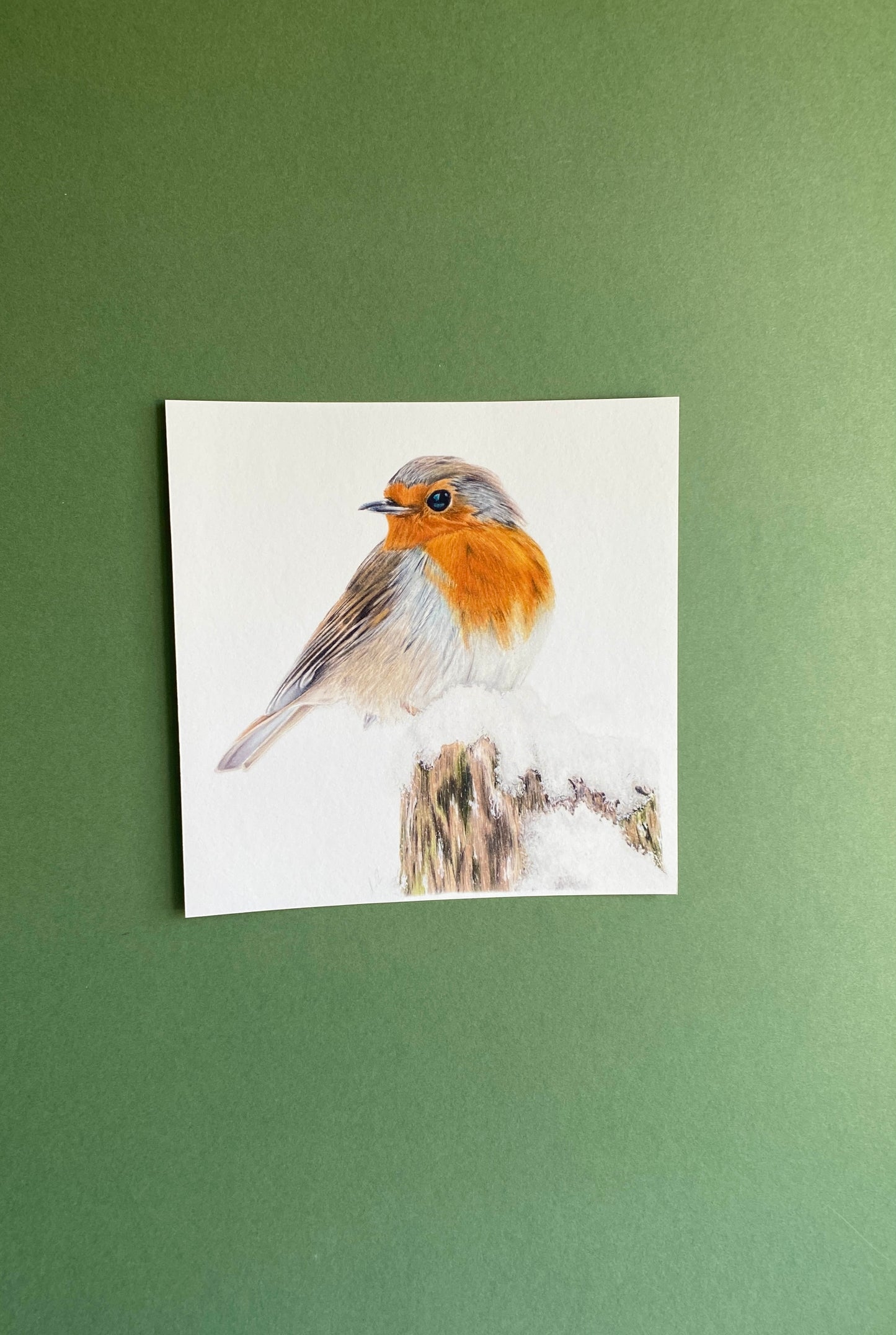 Winter Robin Giclée print.