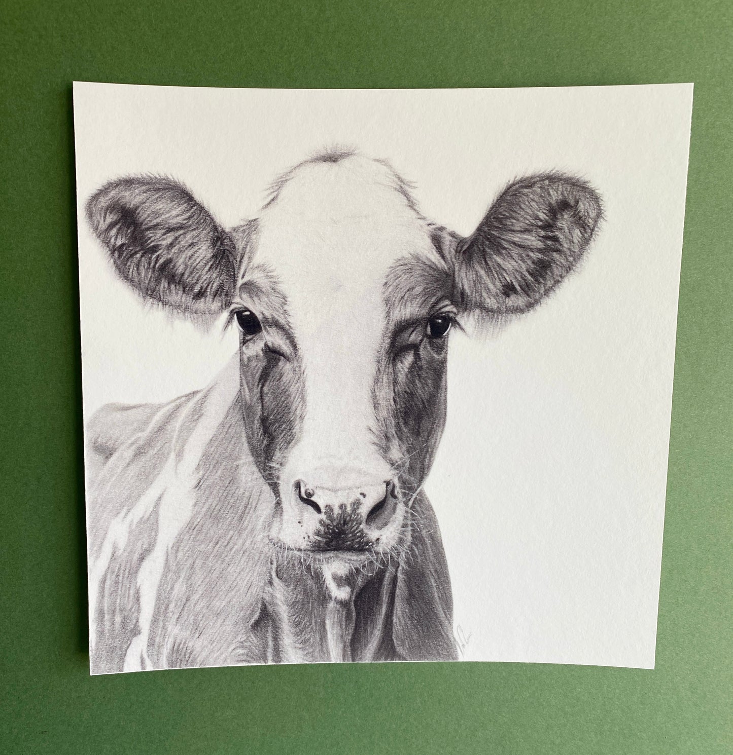 Brown cow Giclée print.