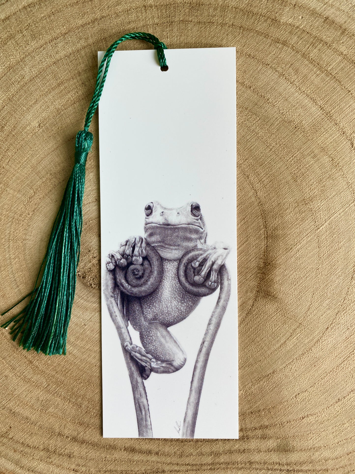 Frog bookmark