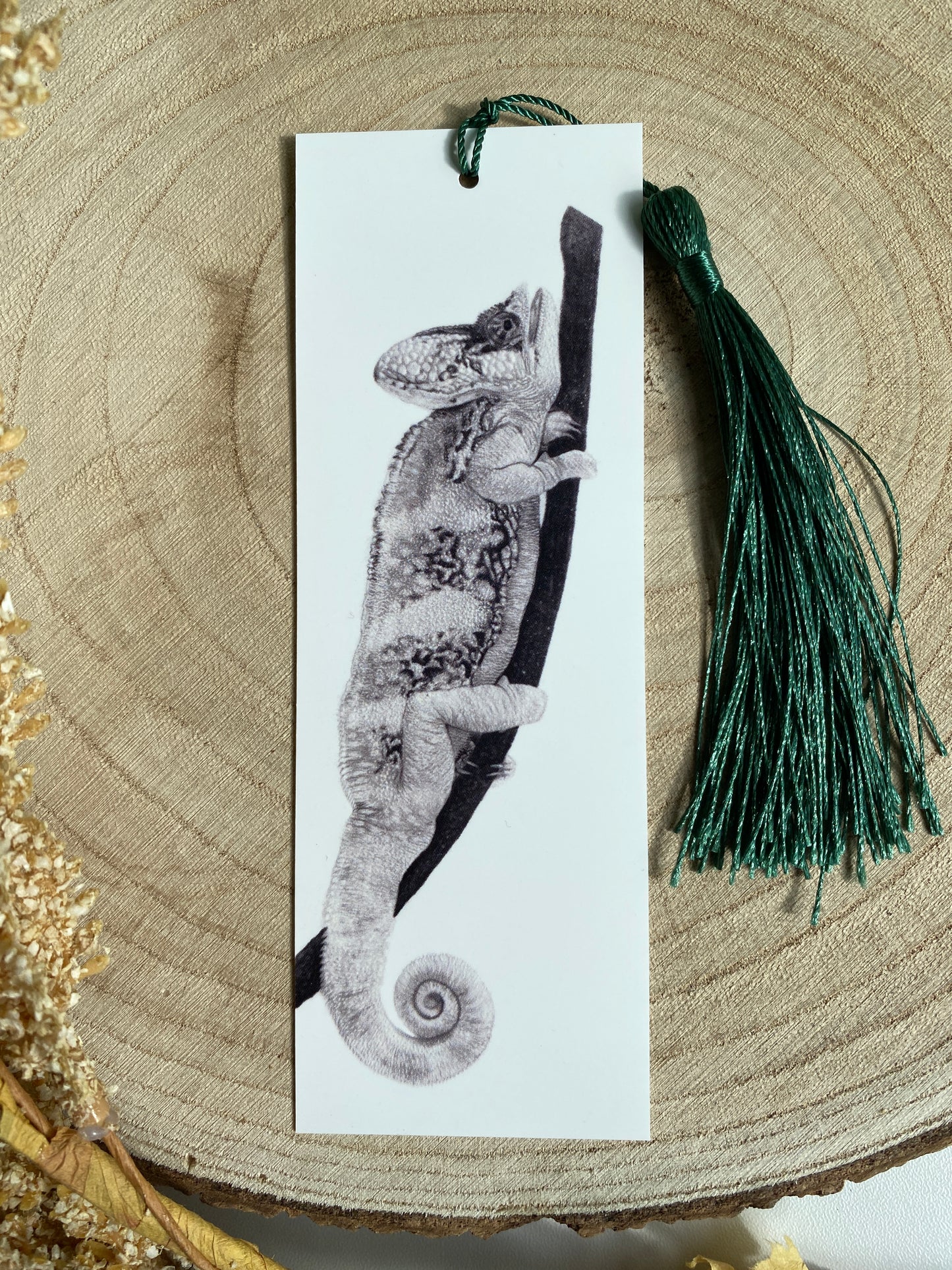 Chameleon Bookmark