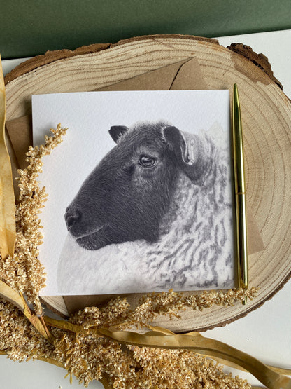 Sheep greetings Card