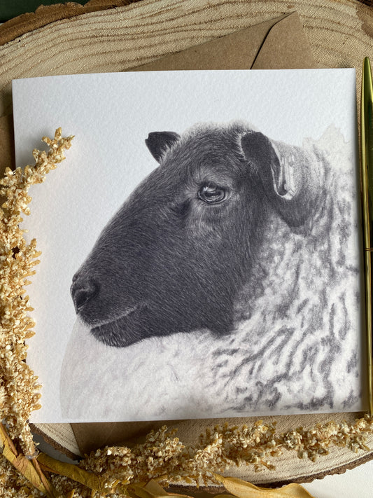 Sheep greetings Card