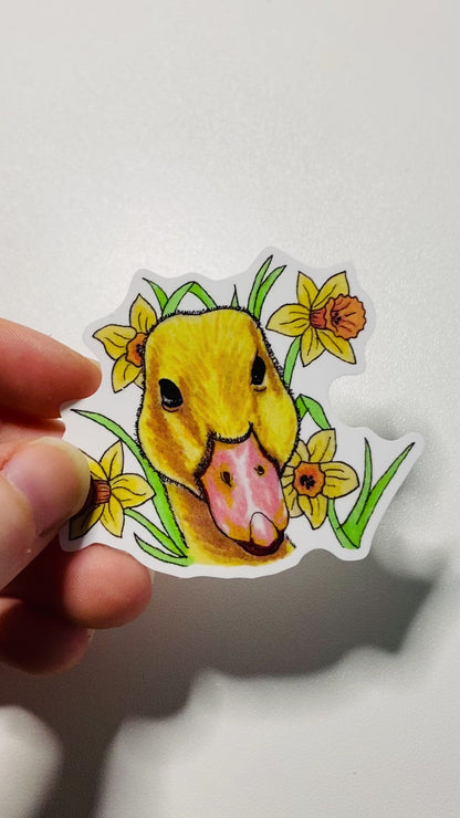 Daffodil Duckling sticker.