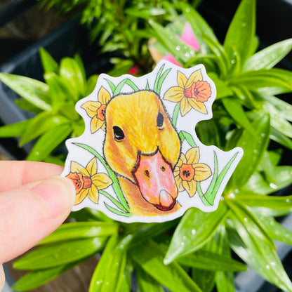 Daffodil Duckling sticker.