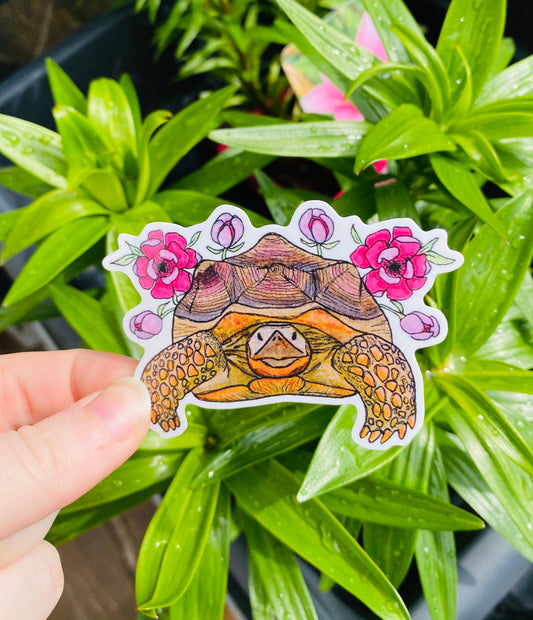 Tortoise sticker.